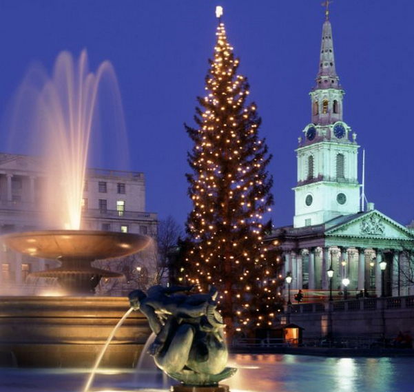 christmas tree in trafalgar square london