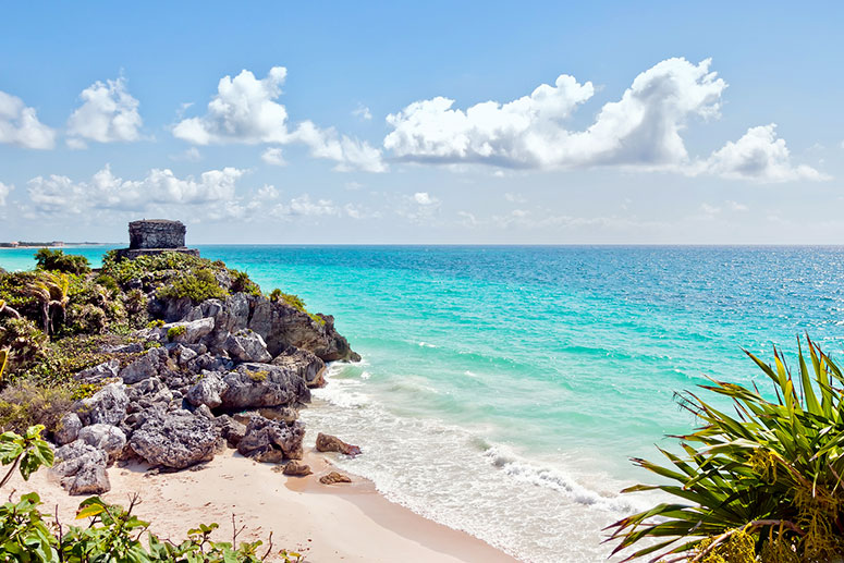 Discover the best activities to do in Playa del Carmen